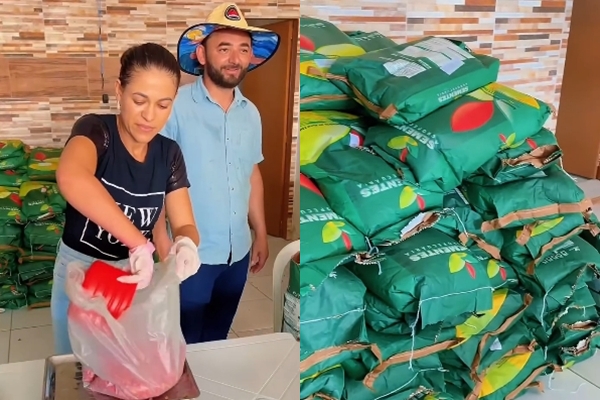 Secretaria de Agricultura realiza distribuição de sementes para agricultores